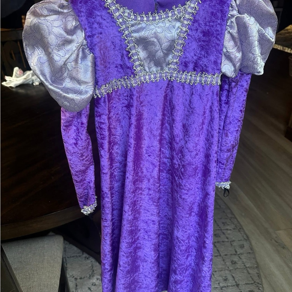 Rubie's Renaissance Royal Queen Purple Kids Halloween Costume Dress Up